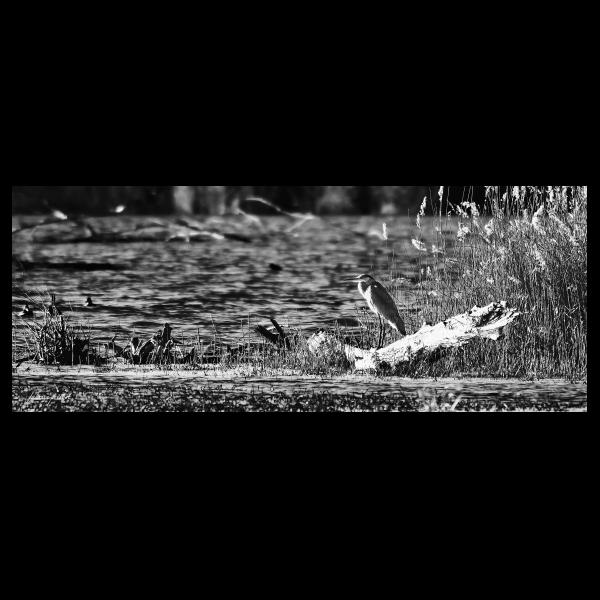 PHOTO84, CLUB, 84 , LUBERON